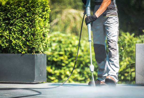 Best Driveway Pressure Washing  in Inglis, FL